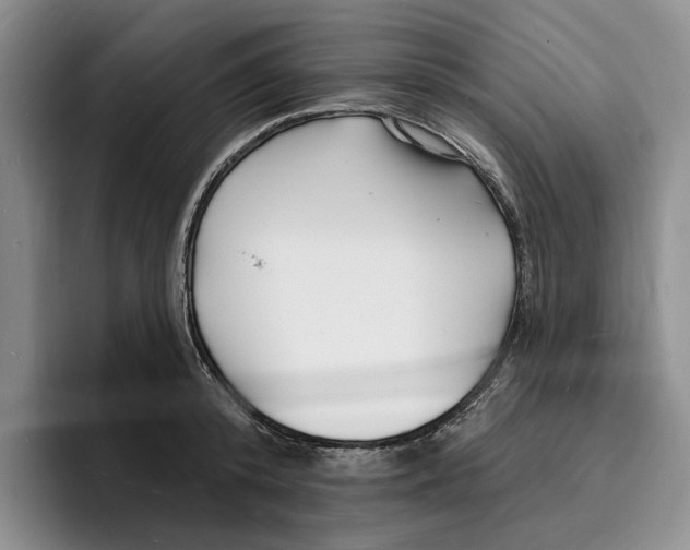 X0000096390800200802211141