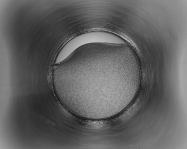 X0000096390801200802211141