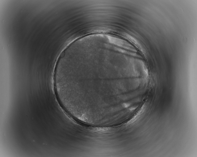 X0000096390802200802211141