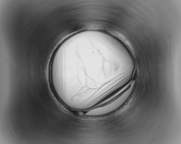 X0000096390803200802211141
