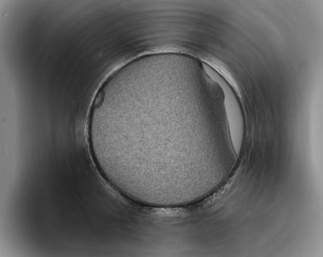 X0000096390805200802211141