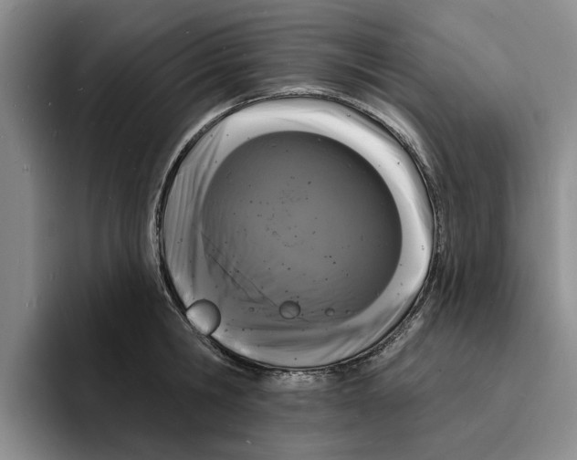 X0000096390806200802211141