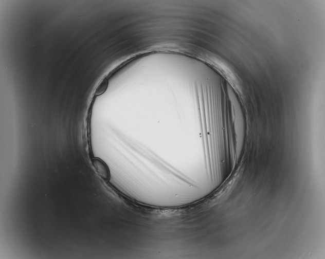 X0000096390808200802211141