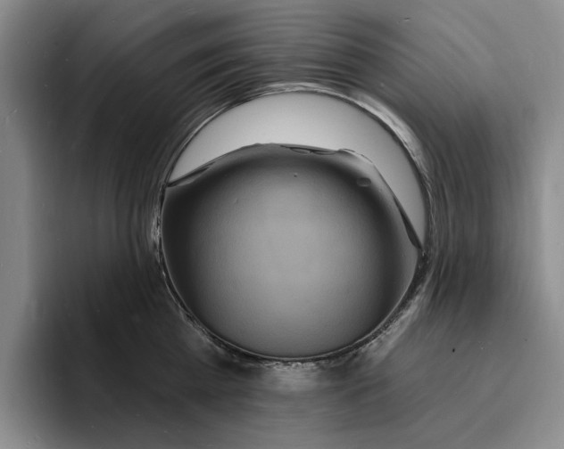 X0000096390809200802211141