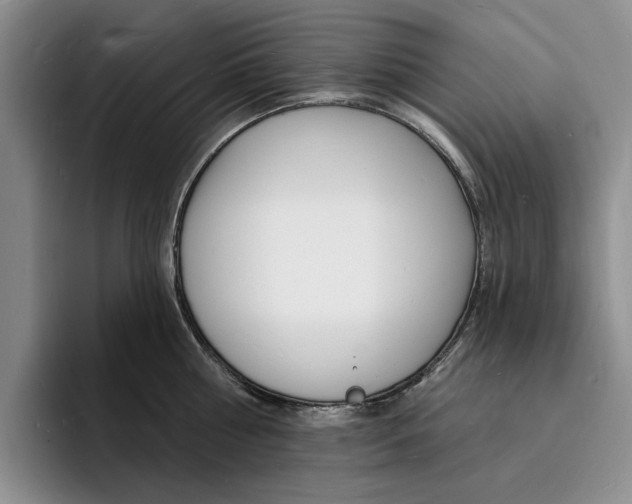 X0000096390810200802211140