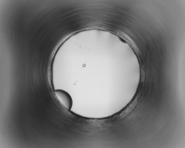 X0000096390812200802211140