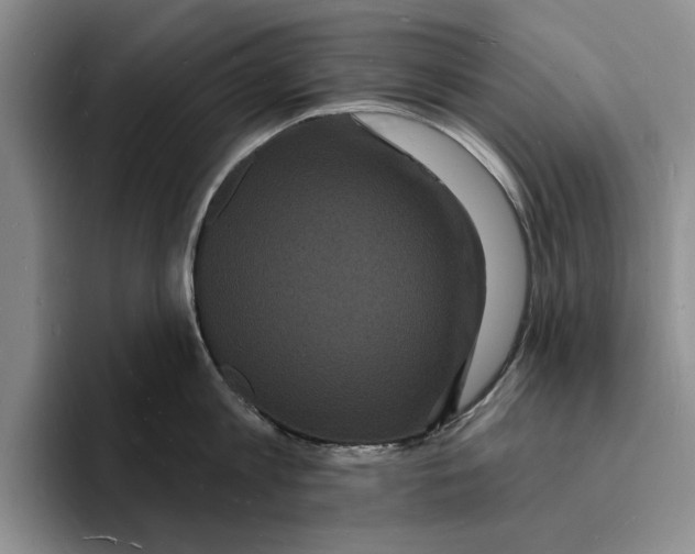 X0000096390813200802211140