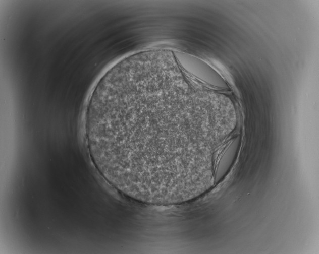 X0000096390816200802211140