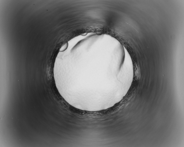 X0000096390819200802211140