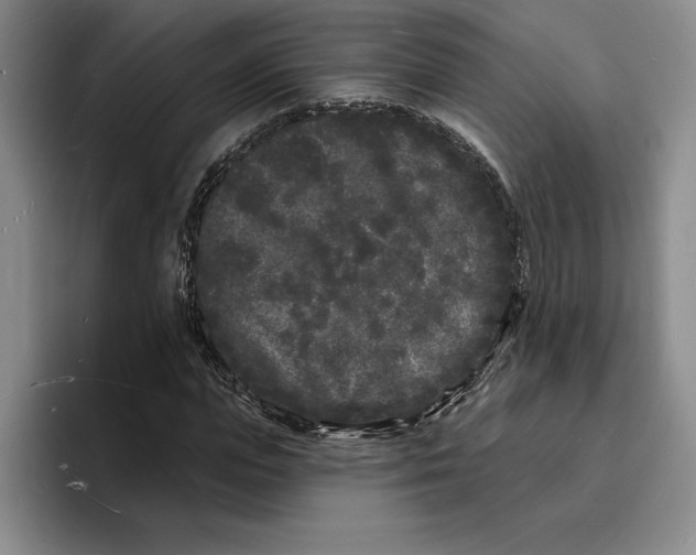 X0000096390823200802211140