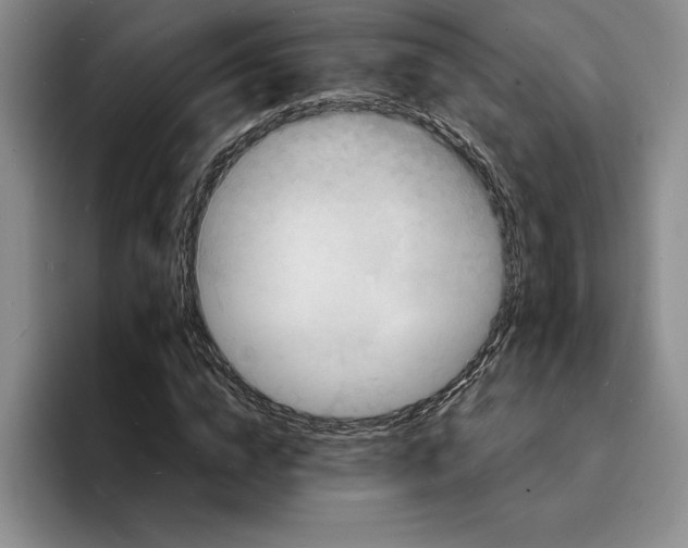 X0000096390824200802211140