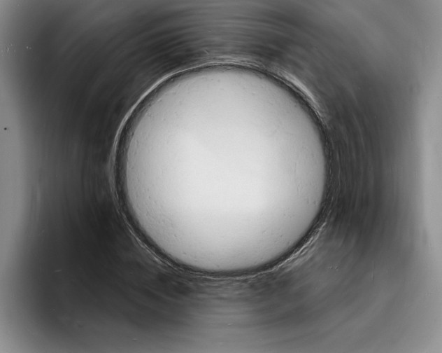 X0000096390828200802211140
