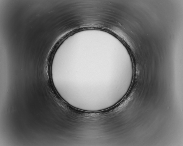 X0000096390830200802211140