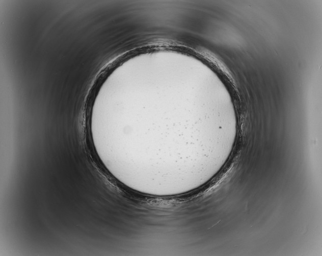 X0000096390831200802211140