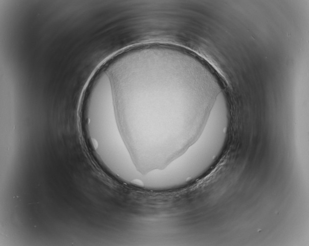 X0000096390832200802211140