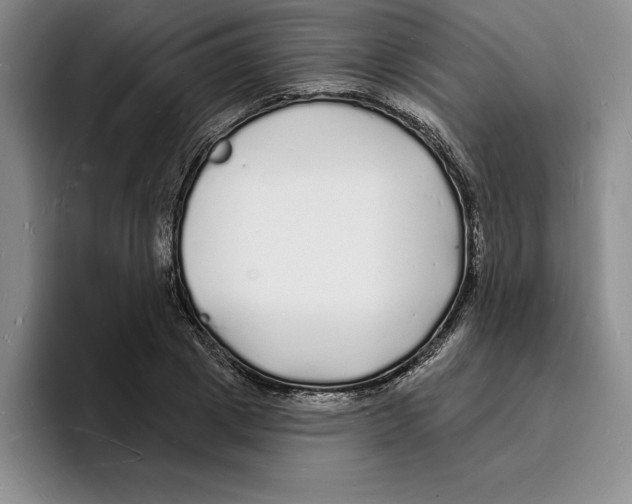 X0000096390833200802211140