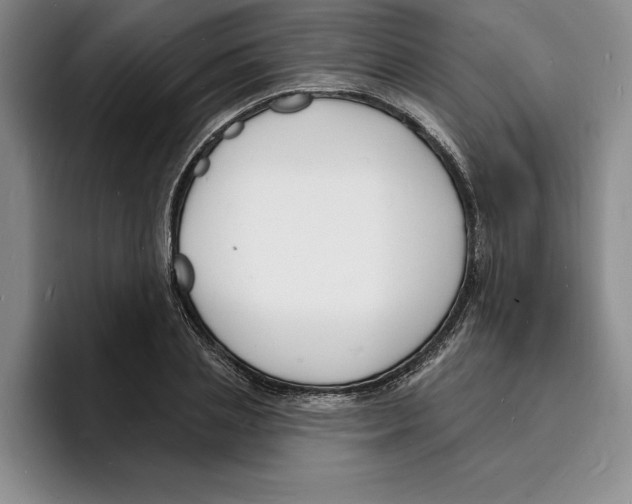 X0000096390837200802211140