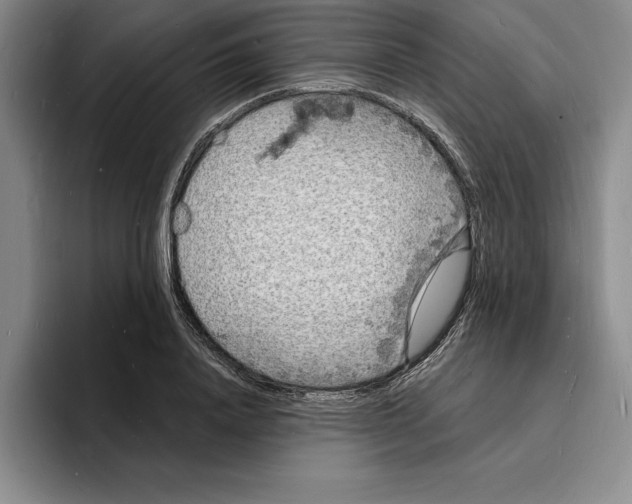 X0000096390840200802211140
