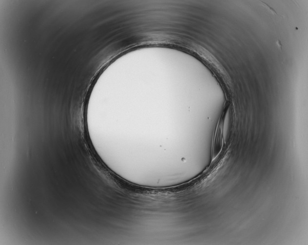 X0000096390842200802211140