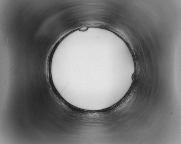 X0000096390843200802211140