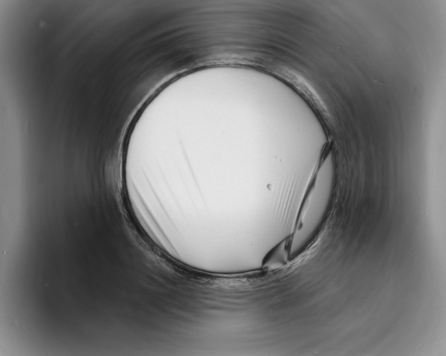 X0000096390844200802211140