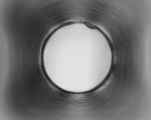 X0000096390845200802211140