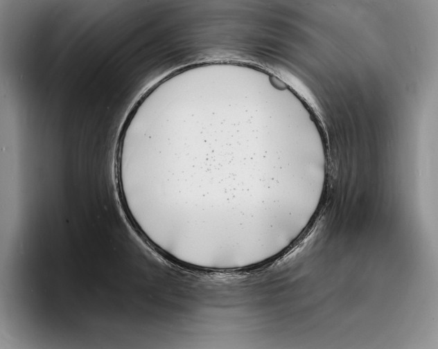 X0000096390847200802211140