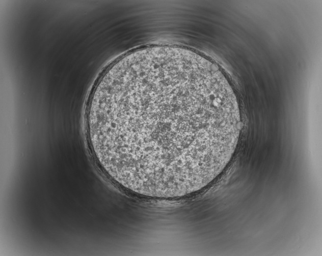 X0000096390848200802211140