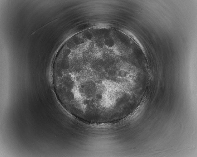 X0000096390851200802211140