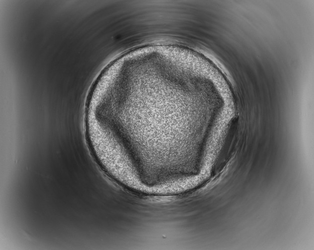 X0000096390853200802211140