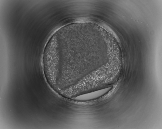 X0000096390855200802211140