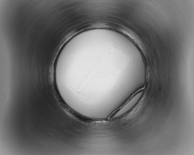 X0000096390858200802211140