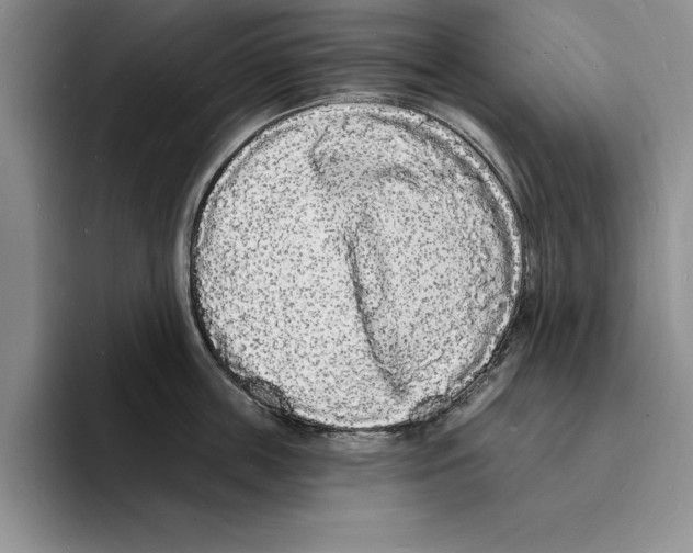 X0000096390859200802211140
