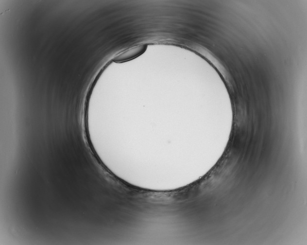 X0000096390861200802211140