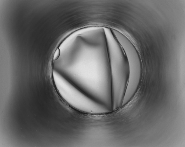X0000096390862200802211140