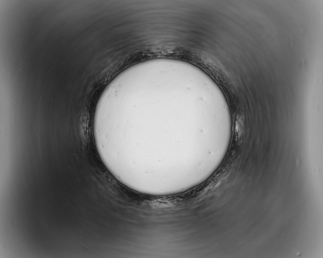 X0000096390867200802211140