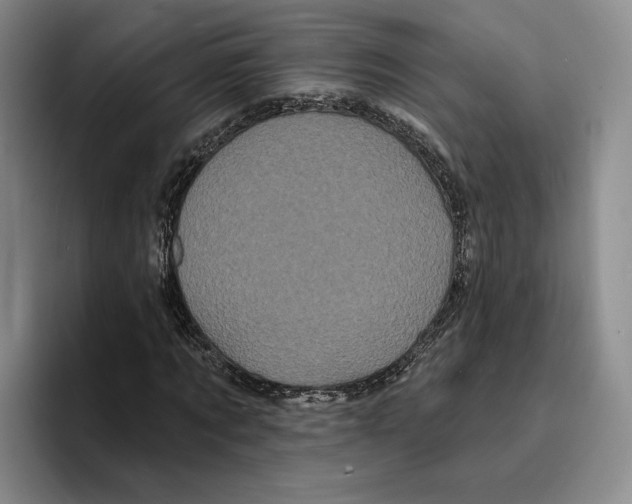 X0000096390869200802211140