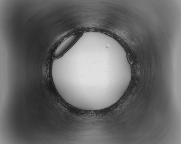 X0000096390872200802211140