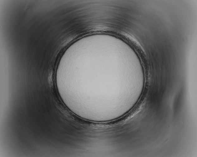 X0000096390873200802211140