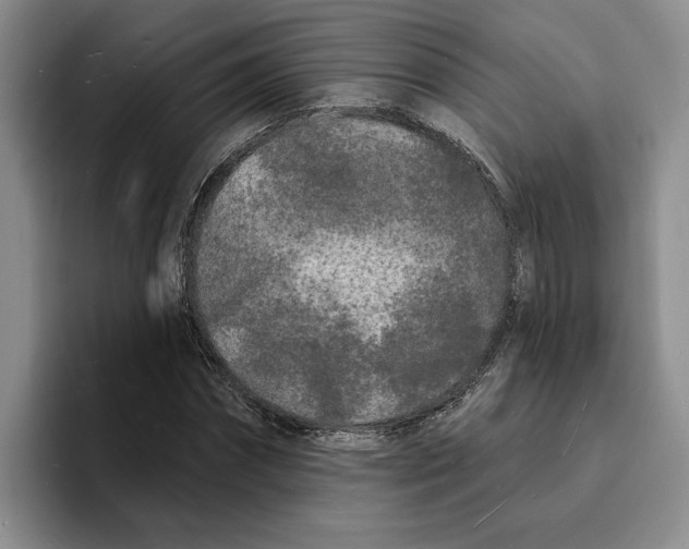X0000096390874200802211140