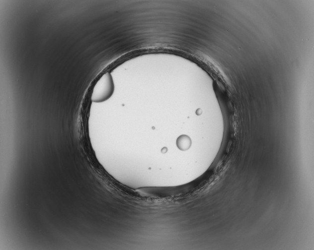 X0000096390876200802211140