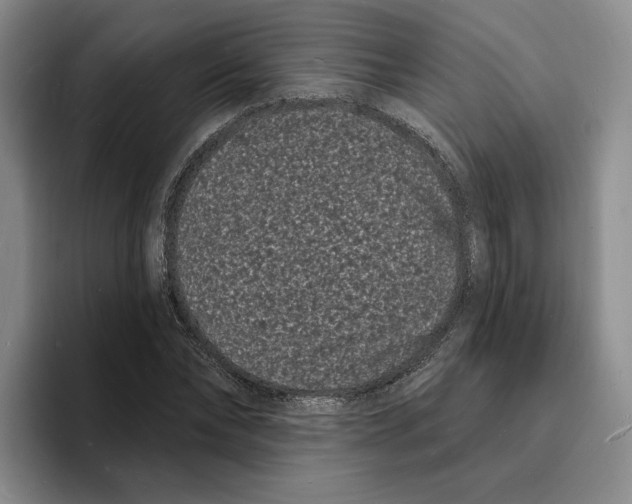 X0000096390878200802211140