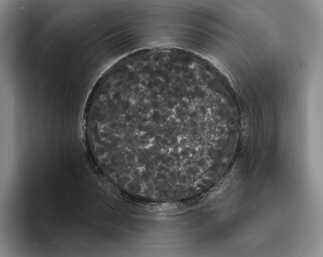 X0000096390879200802211140
