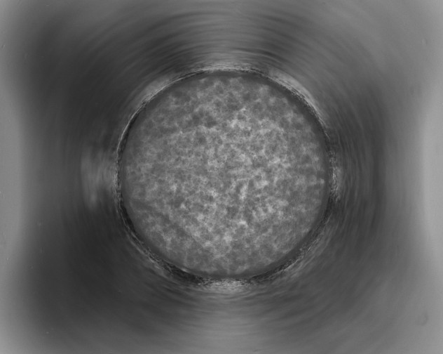 X0000096390882200802211139
