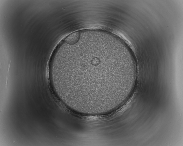 X0000096390883200802211139