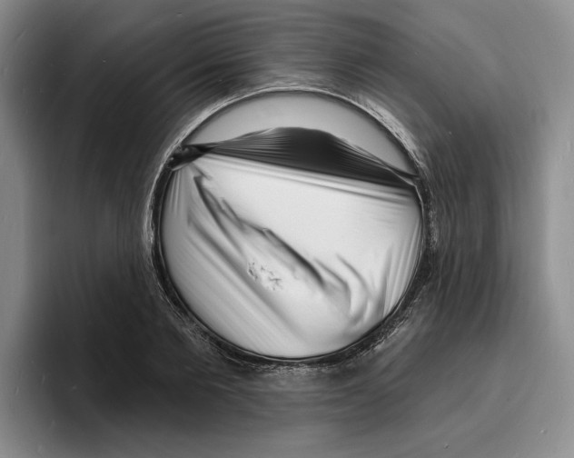 X0000096390885200802211139