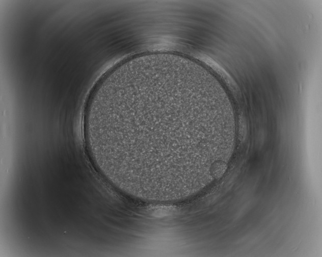X0000096390886200802211139