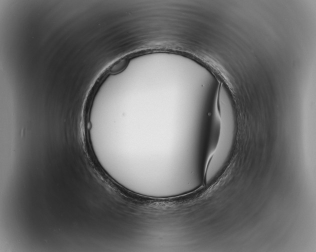 X0000096390888200802211139