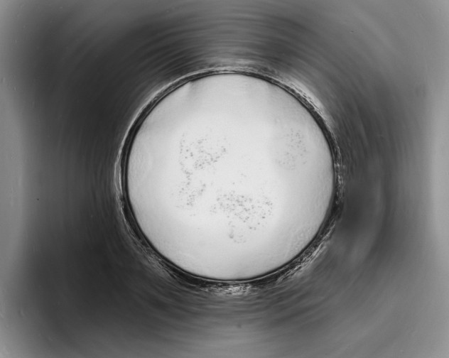 X0000096390891200802211139
