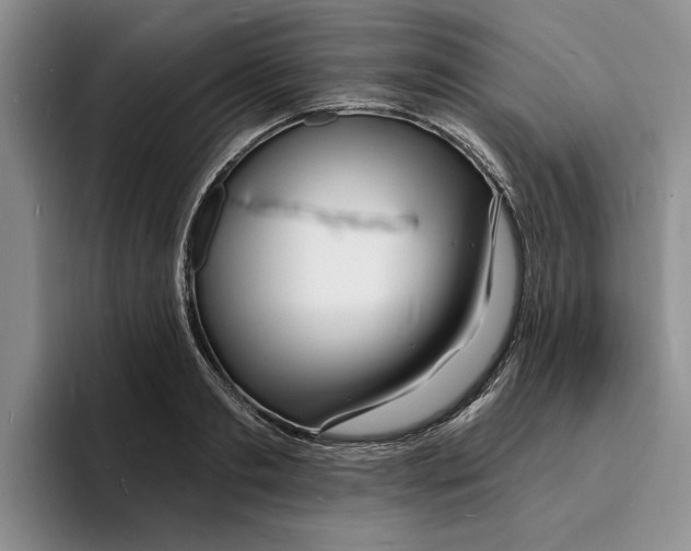 X0000096390893200802211139